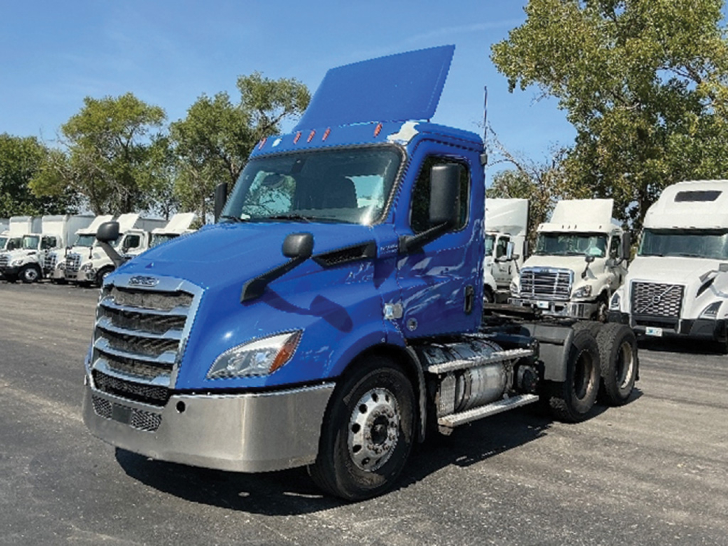 Blue Freightliner Cascadia116 Daycab tractor in a truck lot, side view showing cab, sleeper area, and front grille.