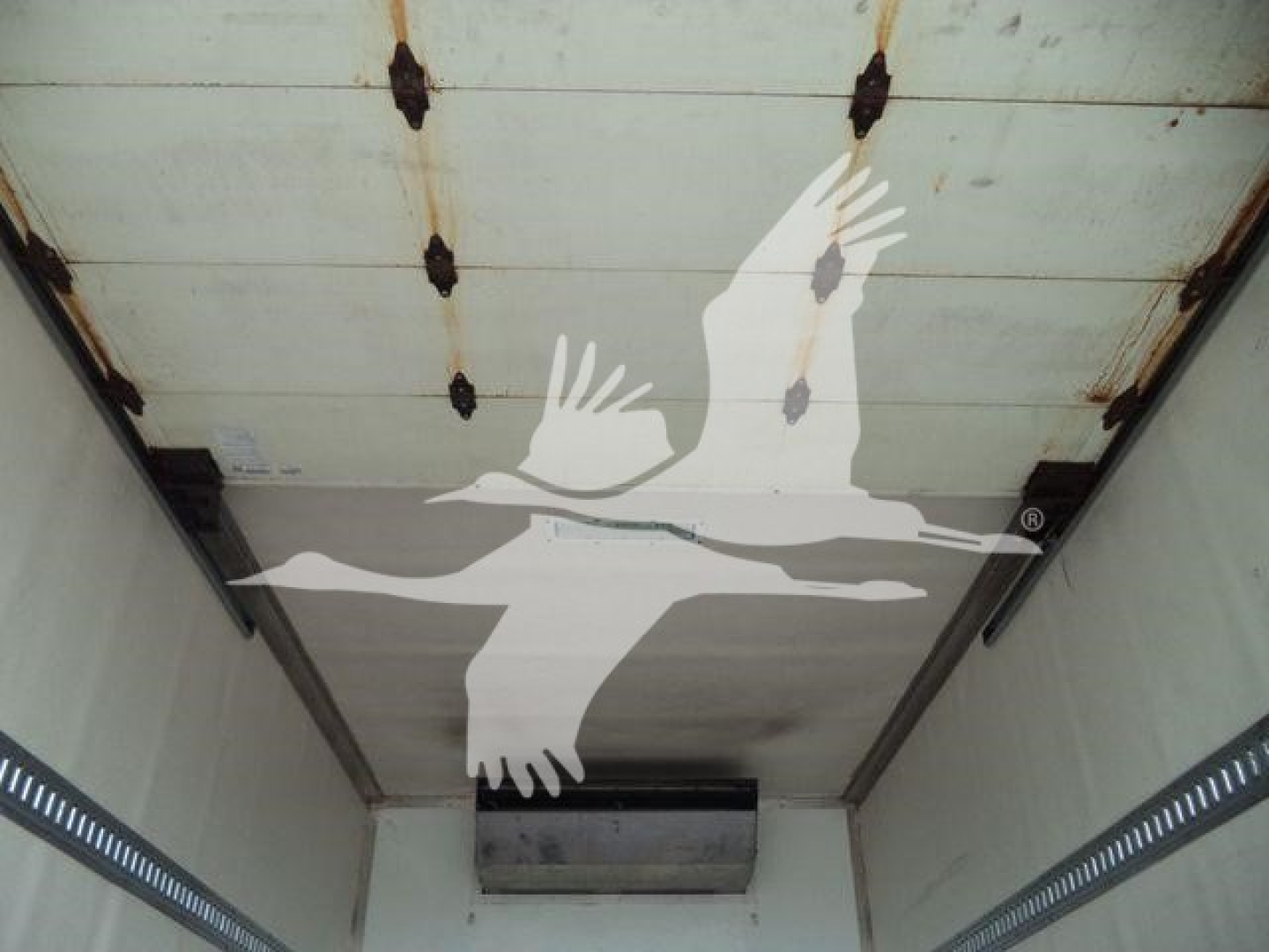 Interior of a refrigerated truck cargo area with white seagull graphic on ceiling.