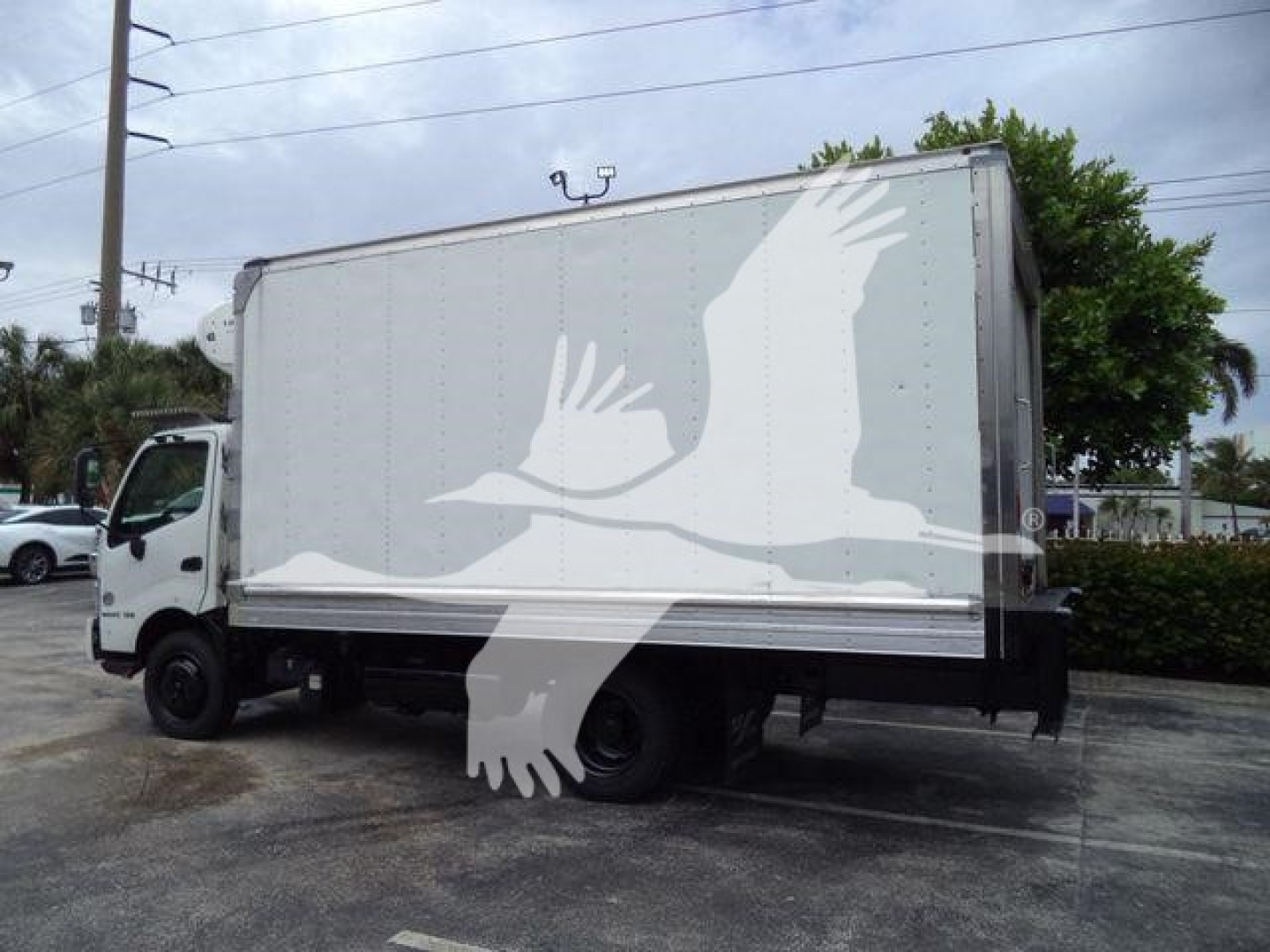 Refrigerated box truck with a white bird graphic on the side, side view showing cargo box and cab.