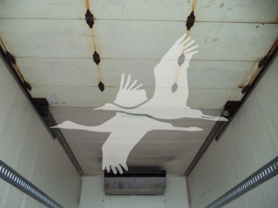 Interior of a refrigerated truck cargo area with white seagull graphic on ceiling.