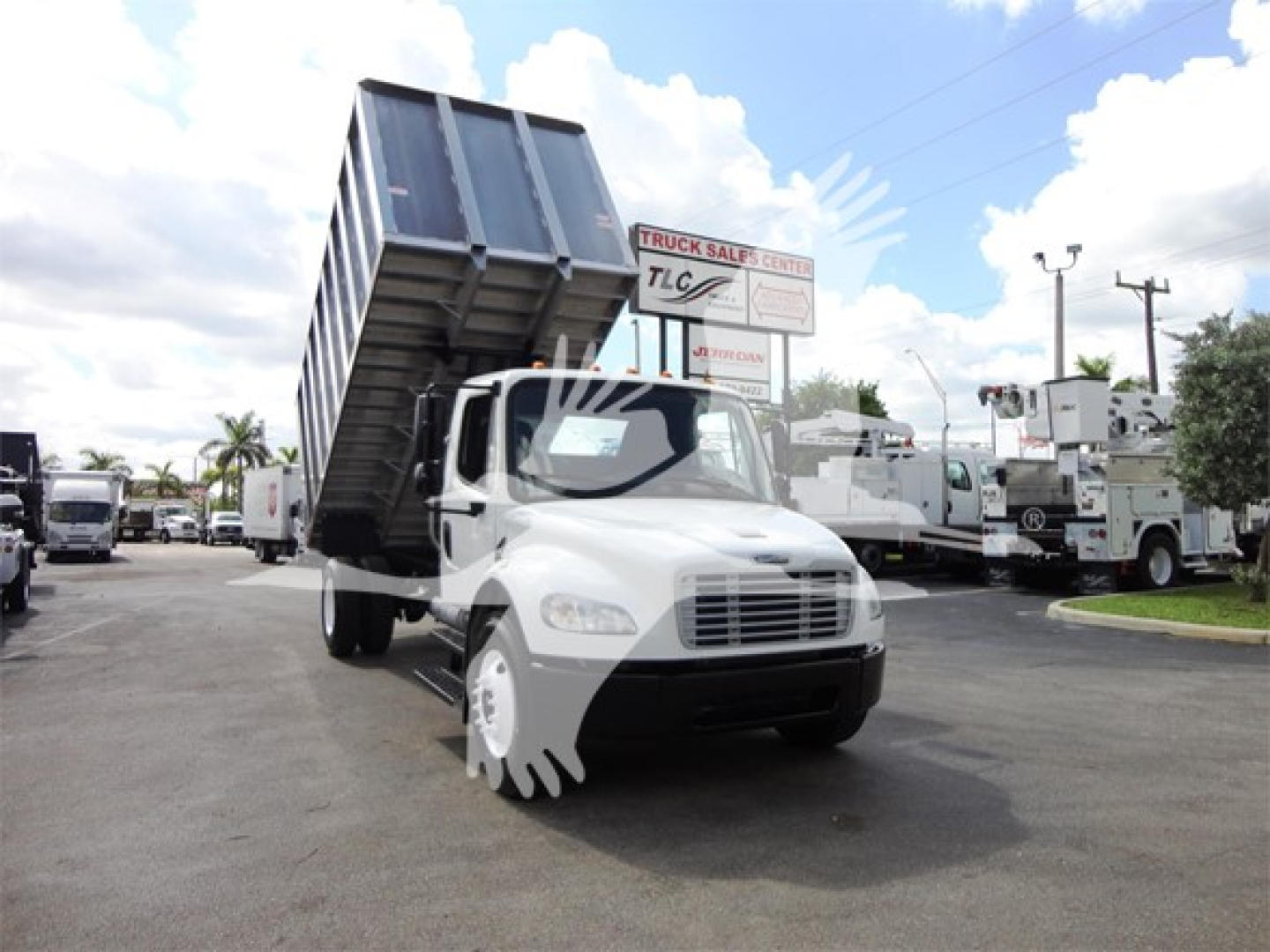  Freightliner M2 106 dump truck in a dealership lot with raised dumping bed, white cab, and multiple trucks in background.
