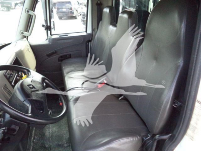 Interior of 2019 International Durastar 4300 cab showing driver seat and passenger seating; faint watermark of birds overlaying image.