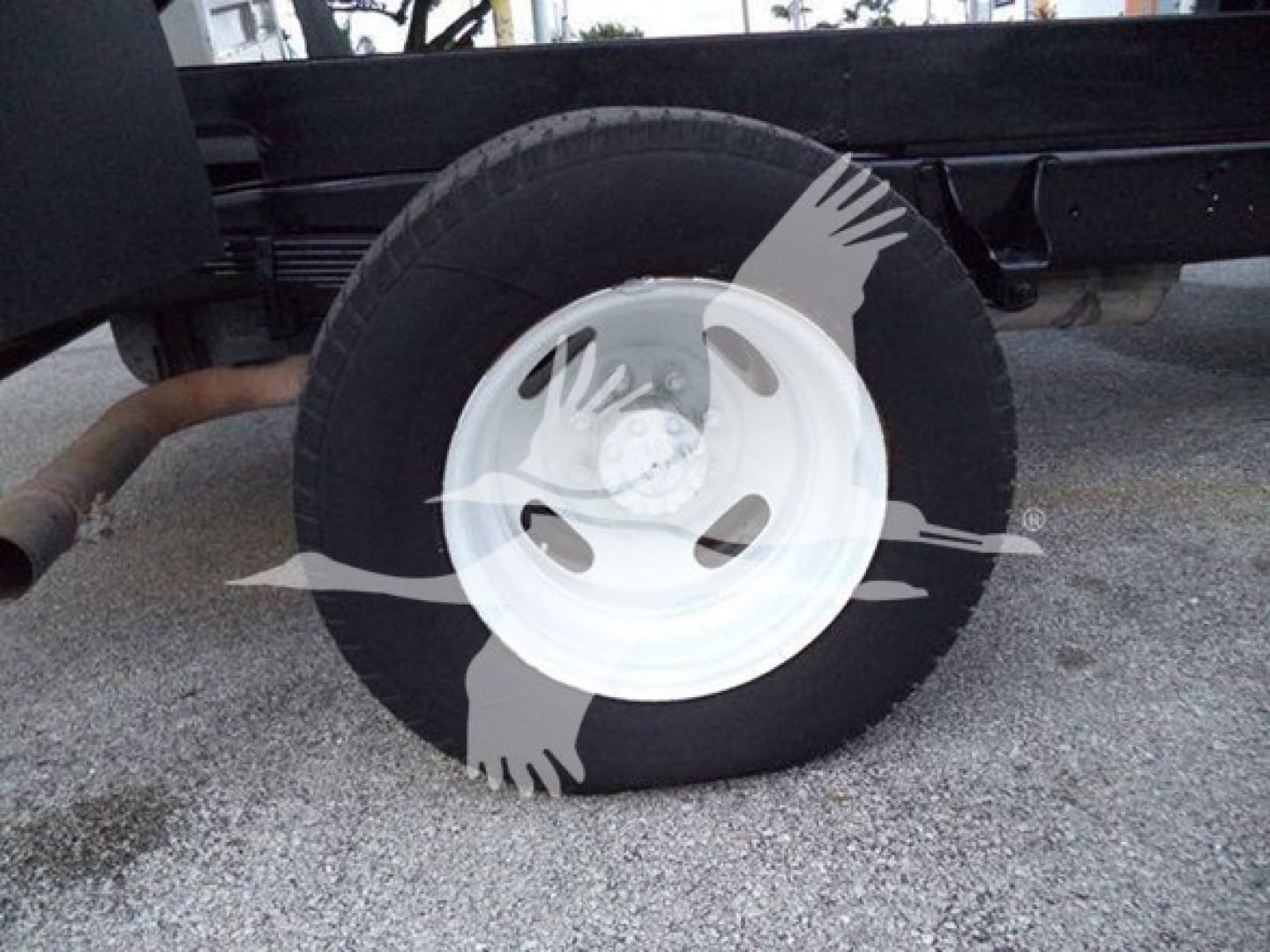 Front wheel and tire of a Ford E450 chassis showing wheel and suspension components.