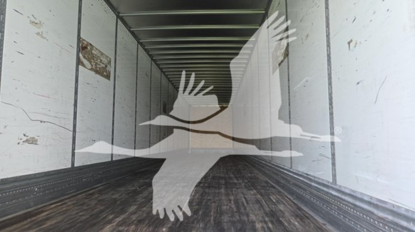 Van trailer interior with wooden floor and metal sidewalls; faded white birds overlaid as watermark