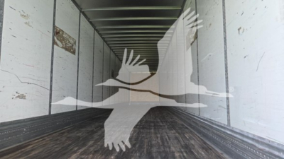 Van trailer interior with wooden floor and metal sidewalls; faded white birds overlaid as watermark