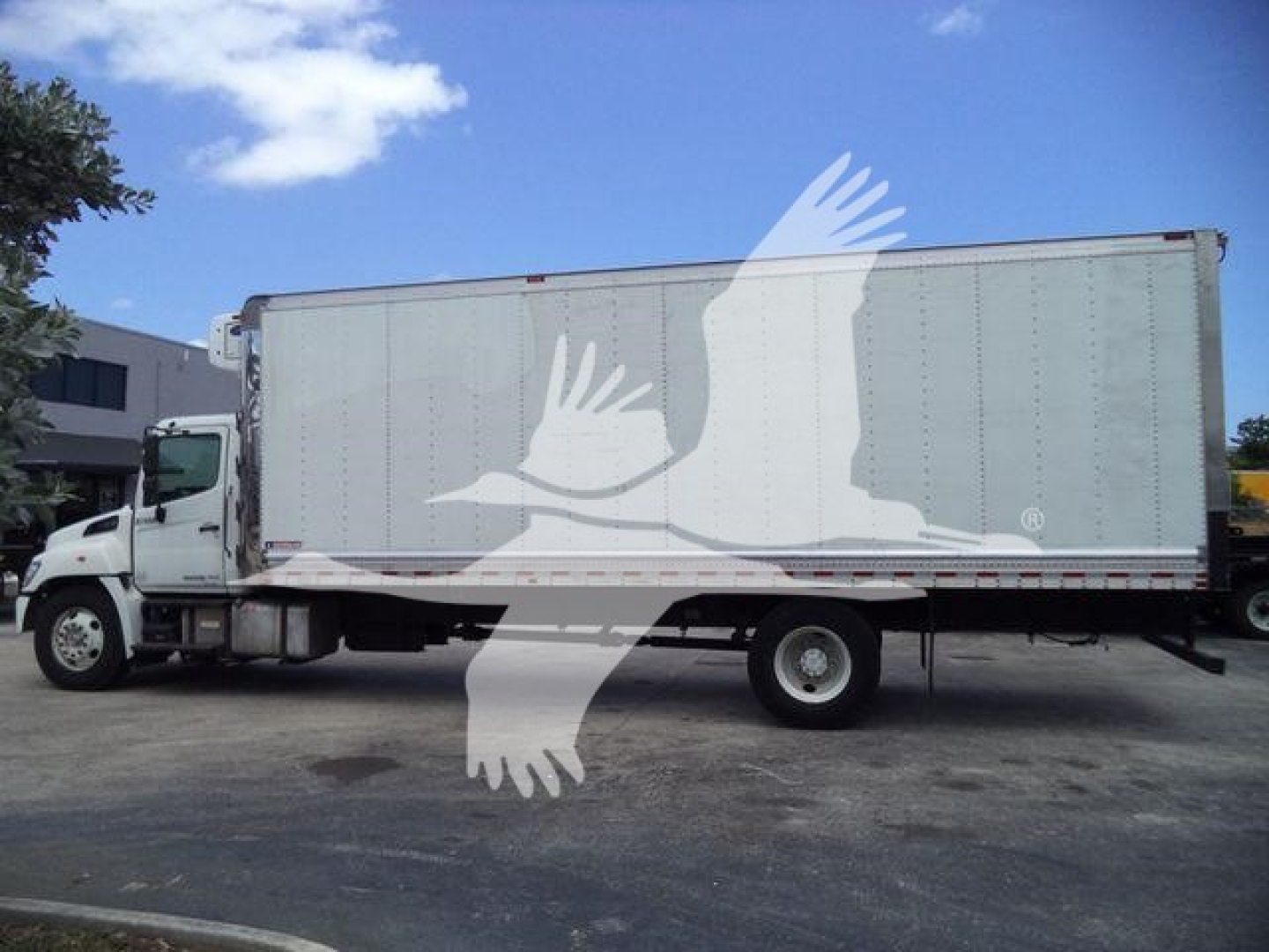Truck side view of a 2019 Hino 268A refrigerated box truck with a white cab and gray box.