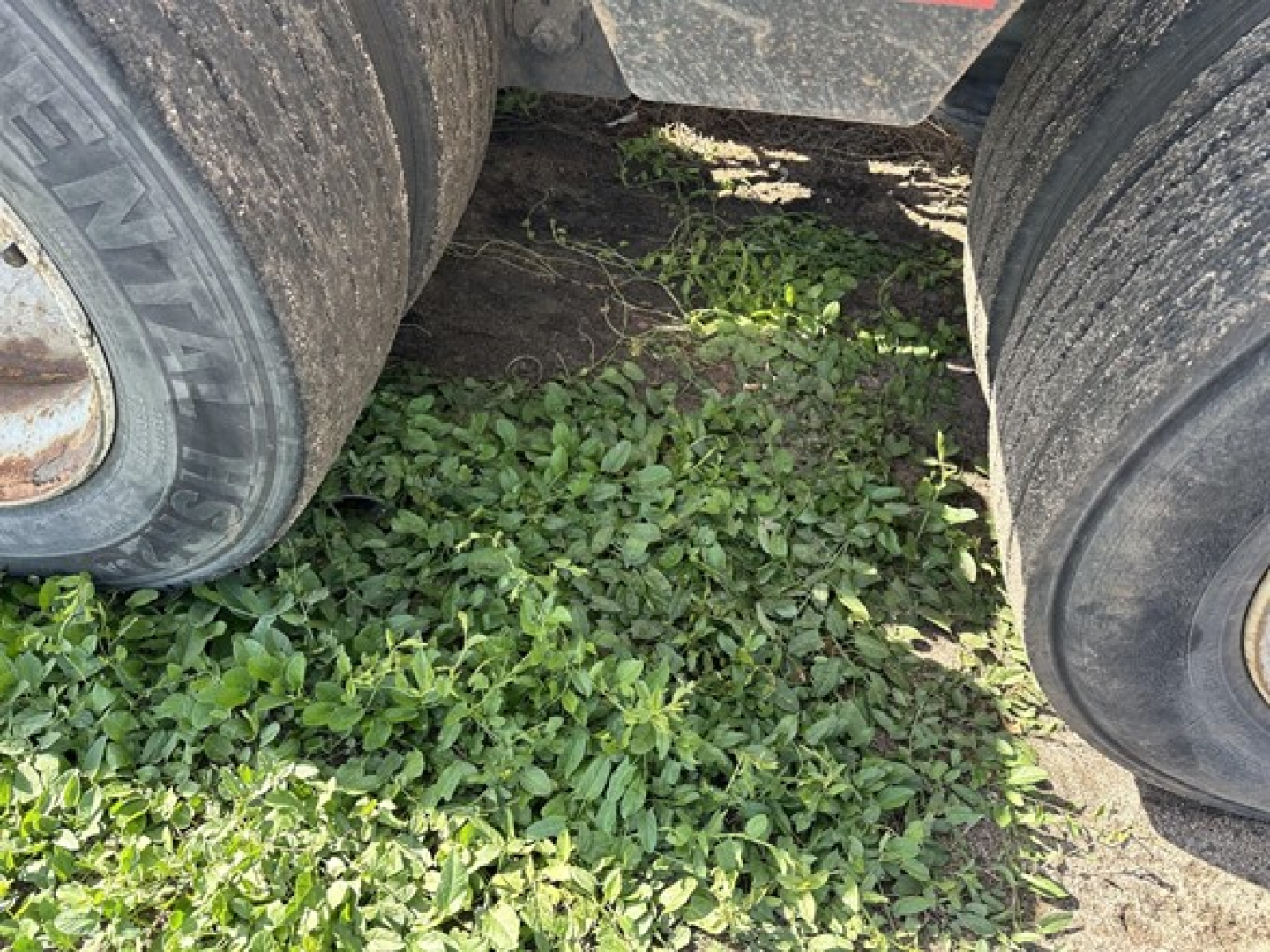 Load King lowboy trailer wheel area with dual tires and grassy ground beneath.