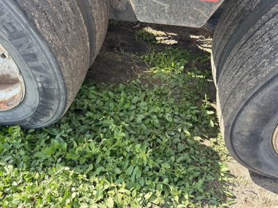 Load King lowboy trailer wheel area with dual tires and grassy ground beneath.
