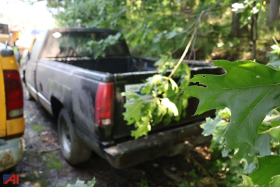 Rear left view of a 1993 Chevrolet C/K 1500 pickup truck, black paint, truck bed visible, overgrown foliage partially obscuring tailgate and taillights.