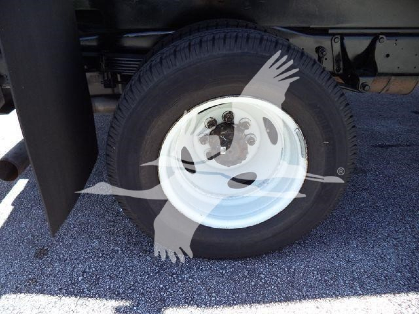 Ford E450 dump truck wheel and undercarriage with white steel rim and tire.