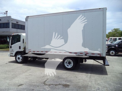Isuzu NRR box truck with a light gray cargo area featuring white bird graphic. Side view shows cab, wheel, and rear underride guard.