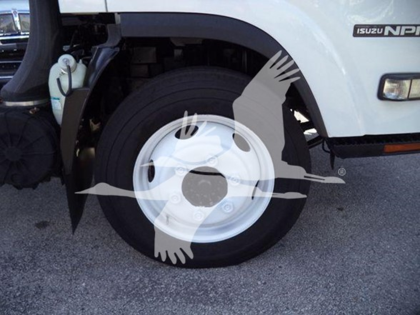 Isuzu NPR HD truck front wheel area showing wheel and fender with Isuzu NPR badge visible.