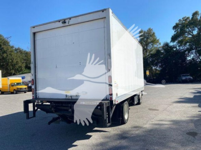 Isuzu NQR box truck rear view showing cargo box and dual rear wheels.
