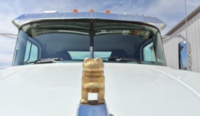Front view of a Mack truck hood ornament on the nose with windshield and cab in background.