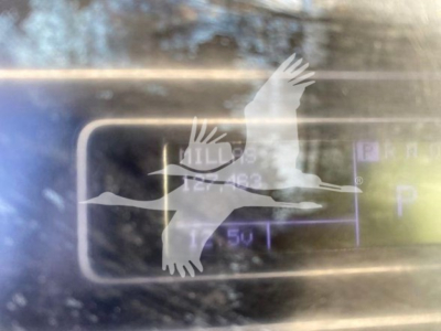 Truck engine bay showing seal with flying gulls logo and partial alphanumeric label.
