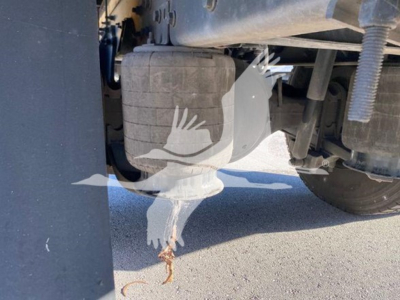 Underbody view of a 2020 International MV truck showing a rectangular air reservoir/dryer canister and surrounding exhaust/drive components.