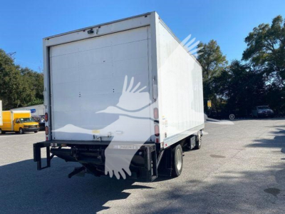 Isuzu NQR box truck rear view showing cargo box and dual rear wheels.