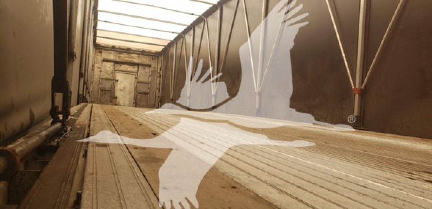Trailer interior showing metal floor with ridges and overhead rails in a curtainside trailer.
