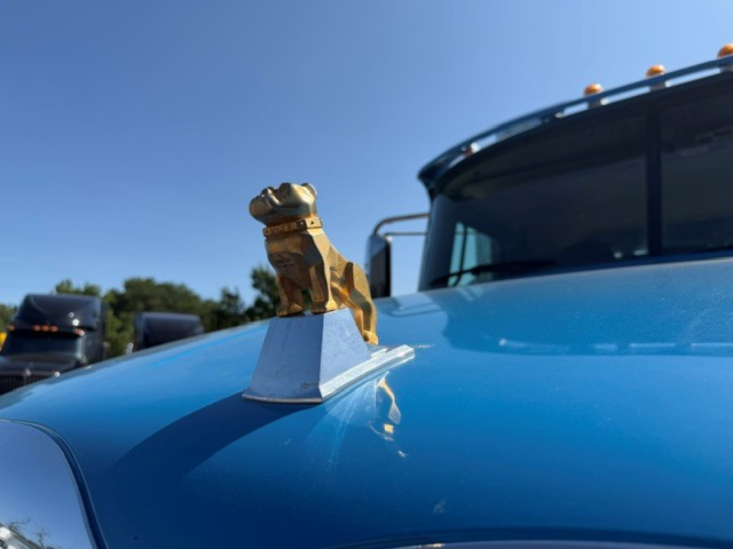 Hood ornament on a blue Mack GR64B truck showing a gold bulldog hood ornament and windshield, with a blurred truck yard in the background.