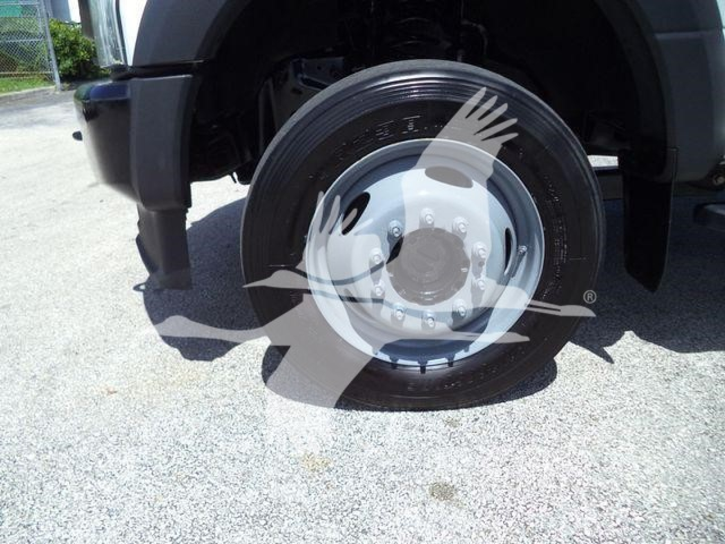 Wheel of a Ford F550 roll-off truck showing a steel rim and tire, with part of the front fender and suspension visible.