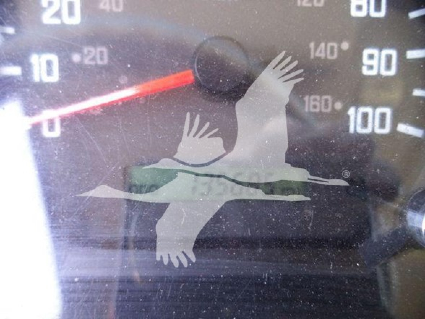 Dashboard gauge cluster of a 2020 Isuzu NPR HD showing speedometer and tachometer with a watermark of birds in flight.