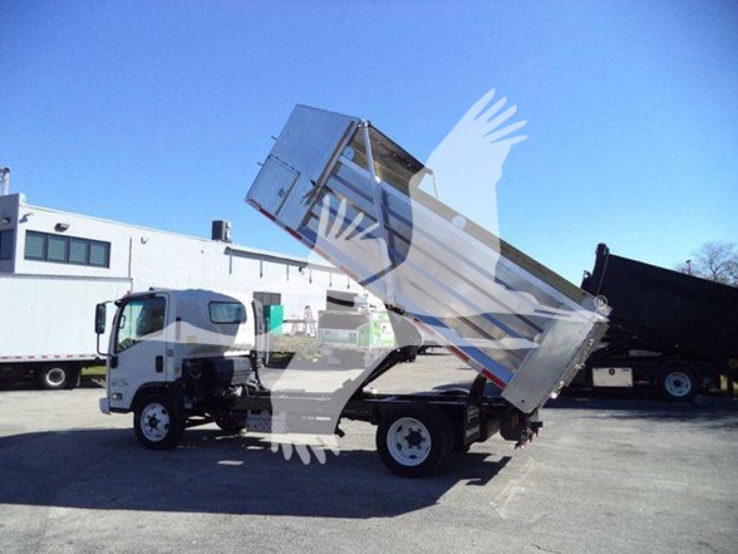 Isuzu NPR HD dump truck with bed raised in a dealership lot displaying cab and chassis and hydraulic system