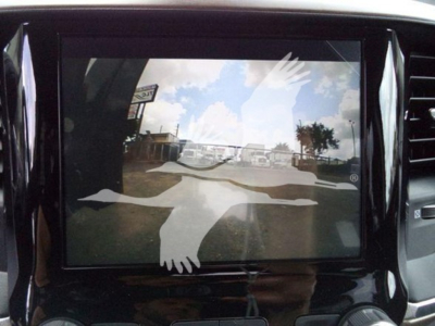 Truck interior screen showing a reflection of the outdoors, with a large white bird graphic overlay on the display.