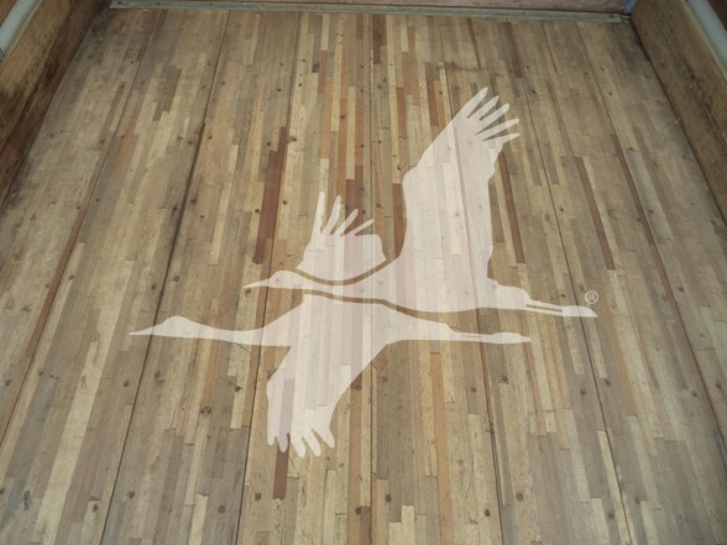 Isuzu NPR HD truck bed floor with light wood planks and large white bird graphic sticker.