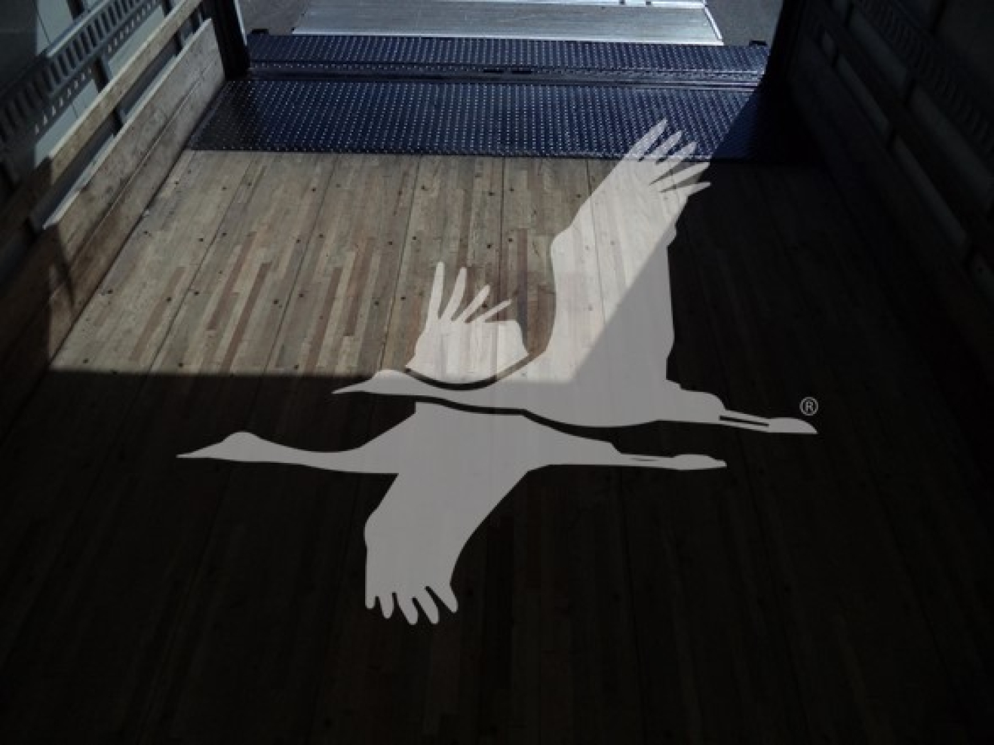Isuzu NPR NPR-HD truck cargo area with wooden floor and a large white bird decal on the bed.