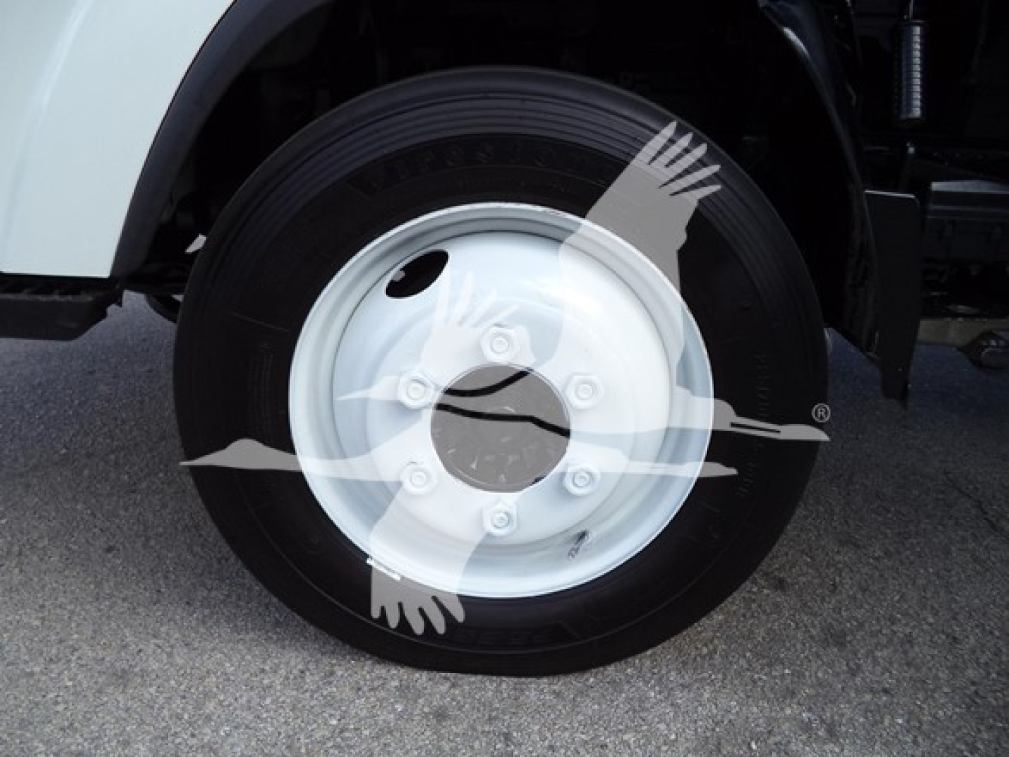 Isuzu NPR HD wheel and tire assembly in view with white rim and black tire.