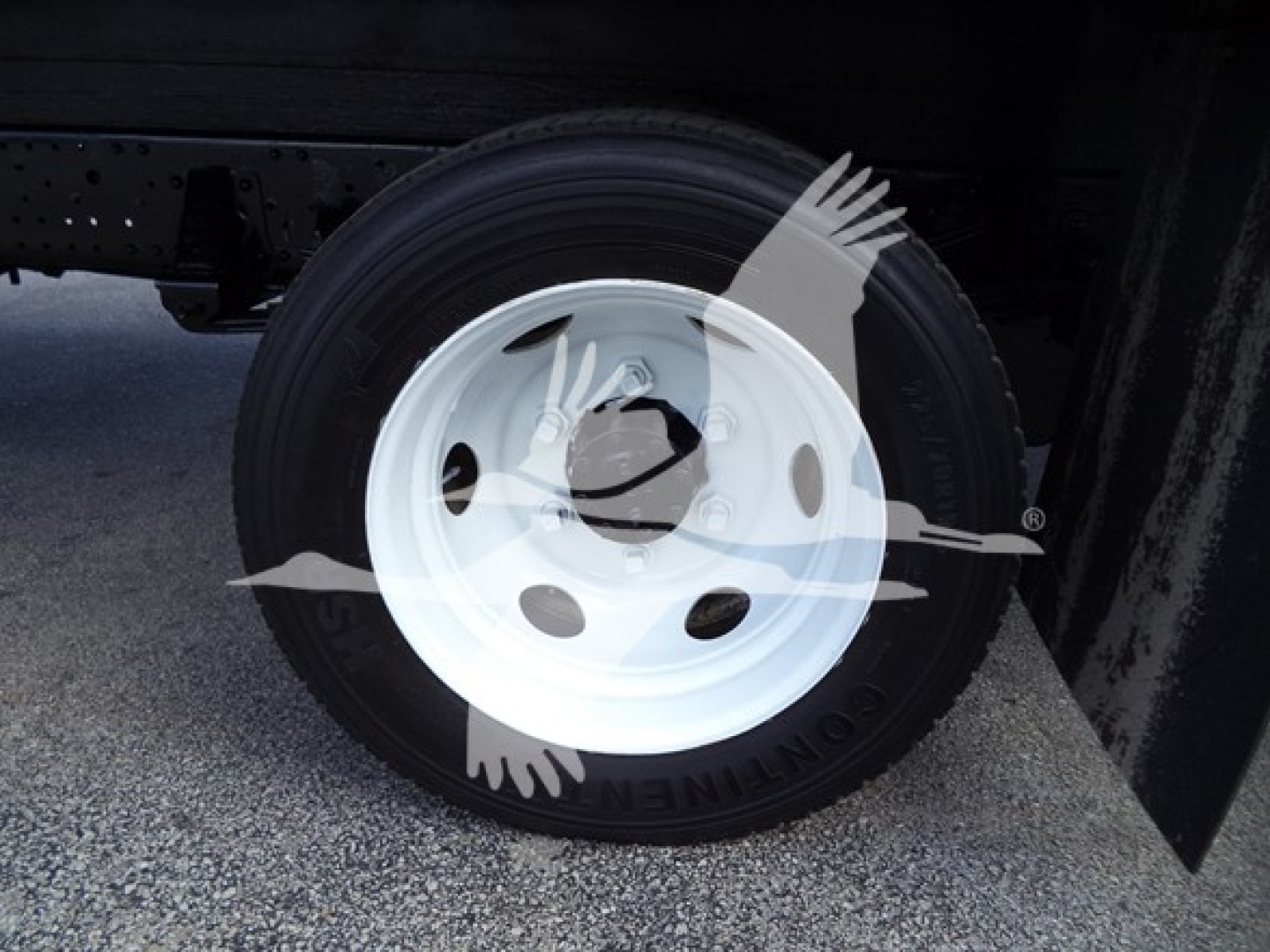 Isuzu NPR HD wheel and tire close-up showing white steel rim and black tire mounted on the chassis