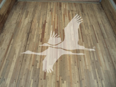 Isuzu NPR HD truck bed floor with light wood planks and large white bird graphic sticker.