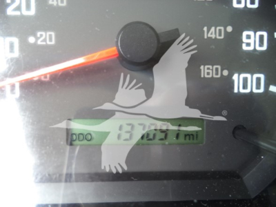Isuzu NPR HD truck dashboard showing speedometer and odometer reading, with a digital display reading 131,? miles; windshield glare over the gauge cluster.