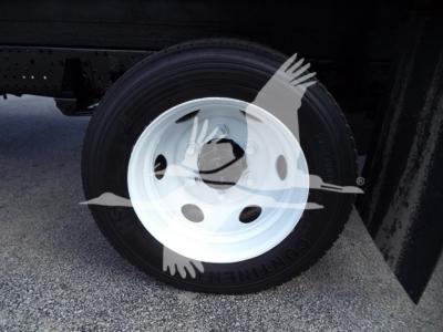 Isuzu NPR HD wheel and tire close-up showing white steel rim and black tire mounted on the chassis
