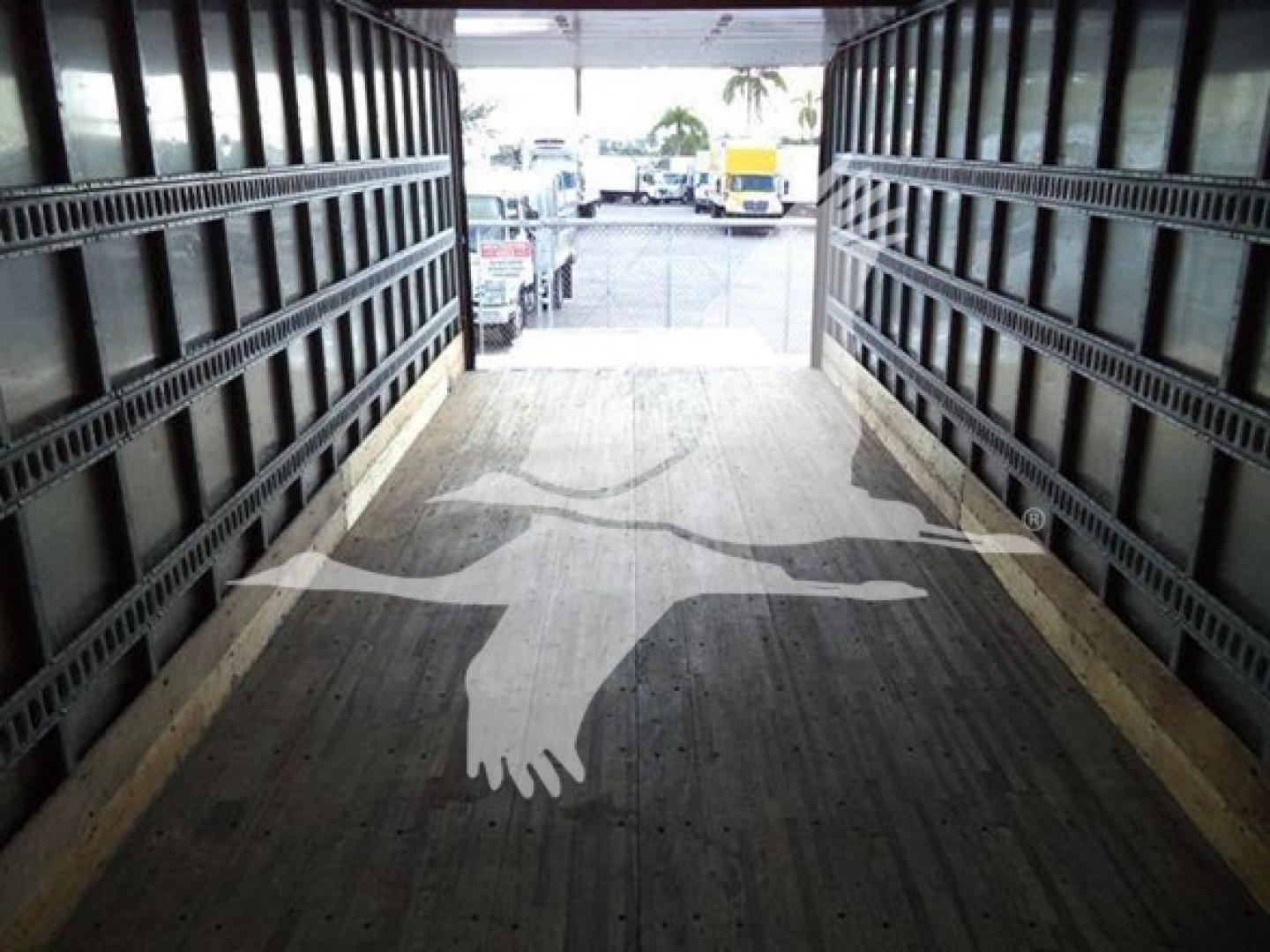 Isuzu truck box interior showing cargo area with painted bird graphic on floor.