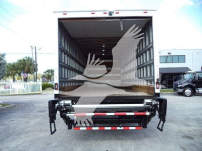 Isuzu FTR truck rear view showing box cargo area and tailgate with rear bumper and reflective safety markings.