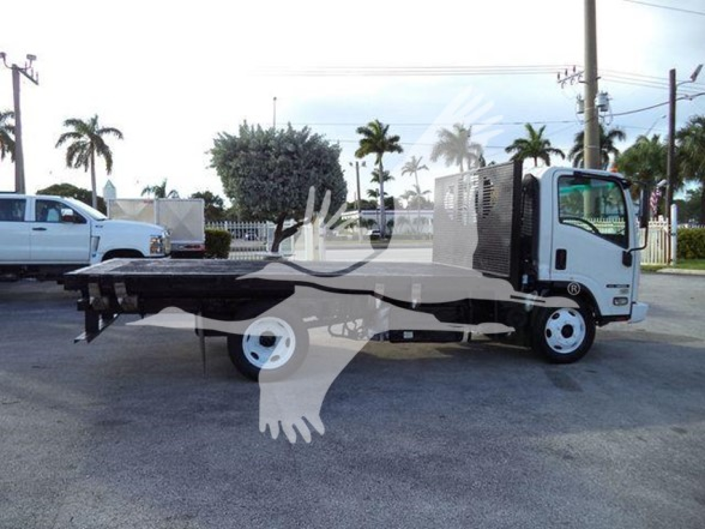 Isuzu NRR flatbed truck side view showing flatbed platform and cab with mesh guard