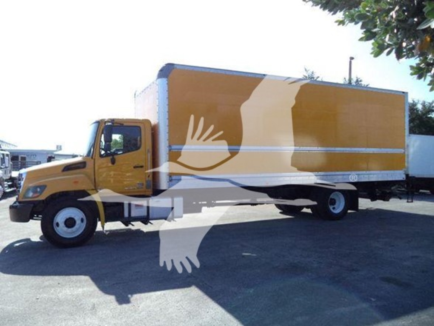Hino 268A box truck in yellow with orange cargo box, side view showing cab and cargo area.