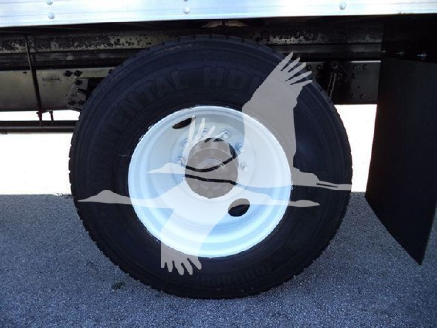 Wheel and tire of a Hino 268A box truck showing black tire and white steel rim with center hub cap.