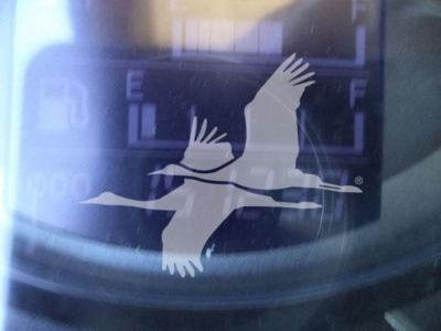 Truck dash area showing fuel gauge and bird silhouette watermark on image surface; front of Hino 268A listing photo.