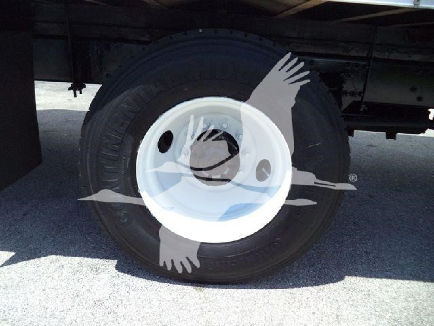 Wheel and tire assembly of a Freightliner M2 106 truck showing white steel wheel with tire sidewall text.