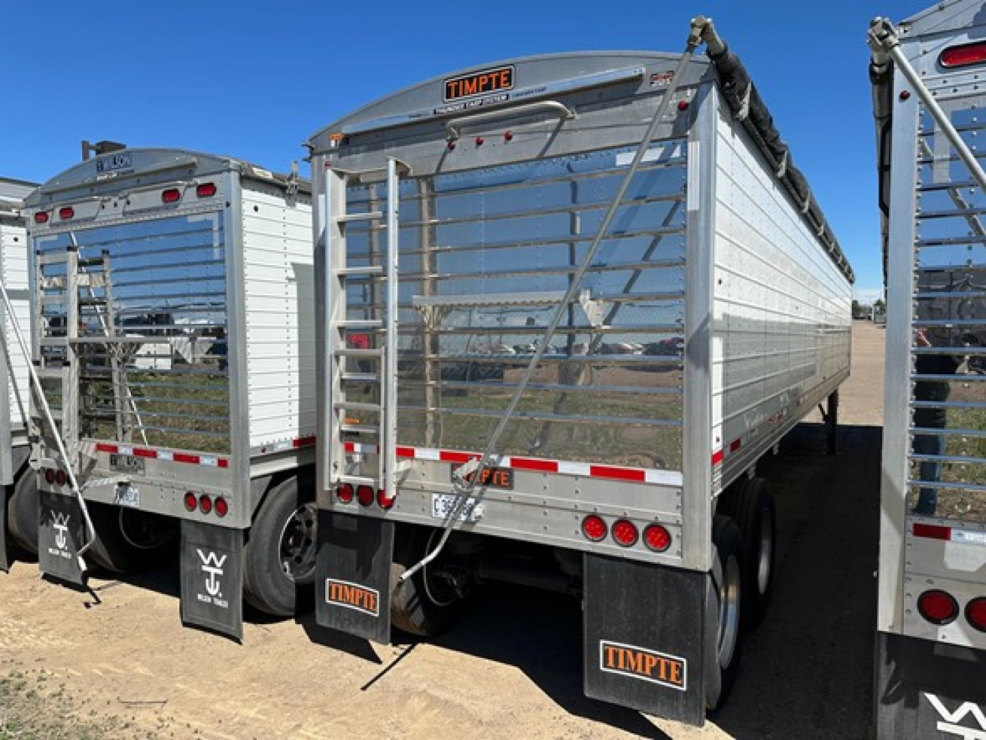 Timpte Super Hopper trailer rear view showing chrome aluminum sides, Timpte logo, dual rear doors, taillights, and mud flaps.
