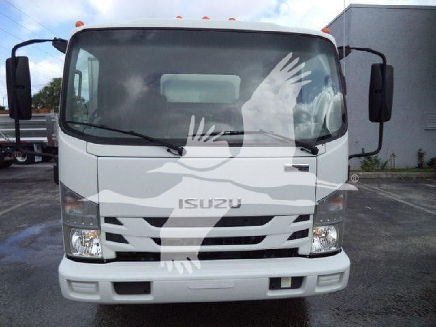 Isuzu NPR XD truck front view with white cab, Isuzu emblem, headlights and mirrors visible.