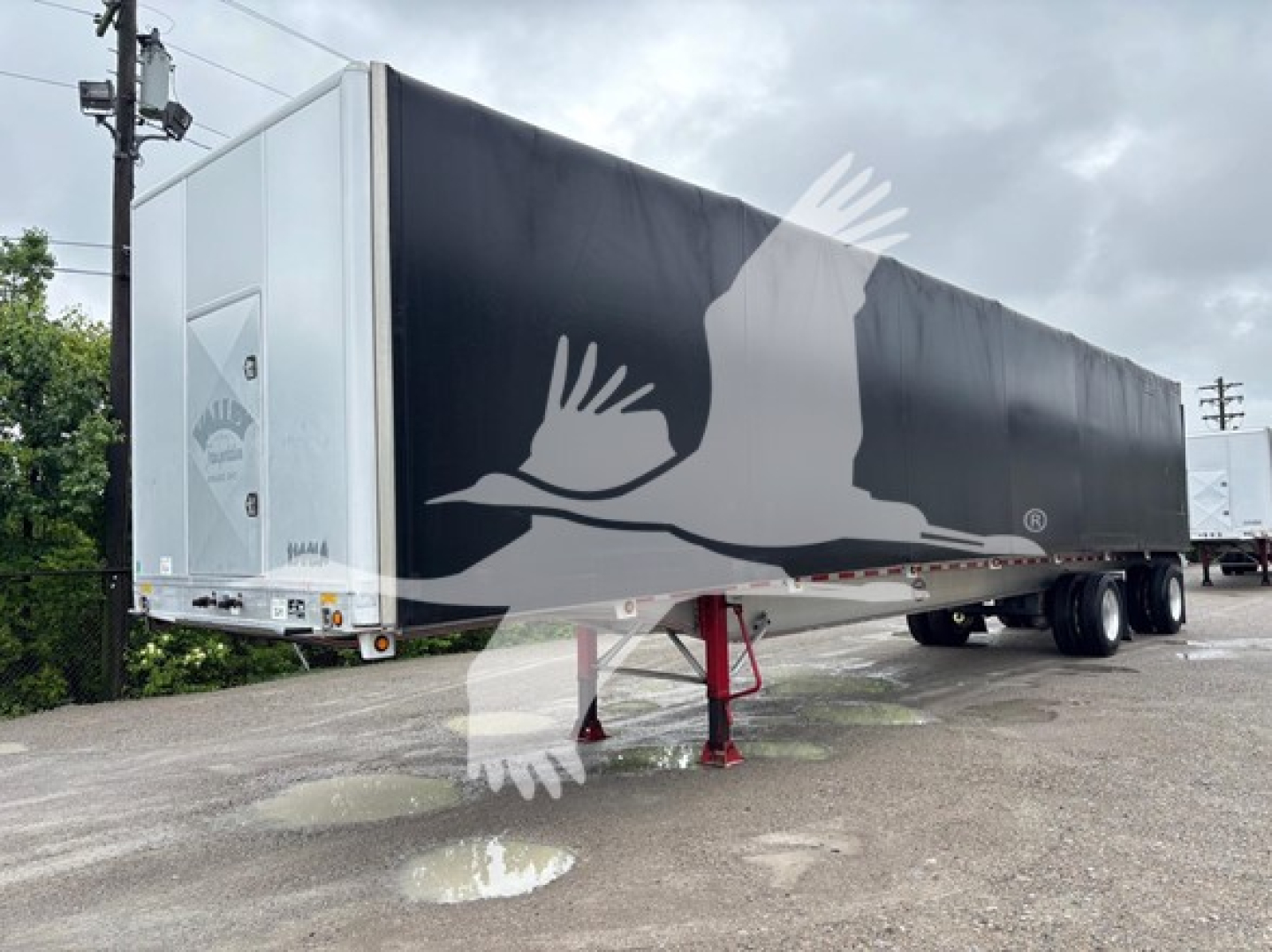Curtainside trailer with black side and white bird logo, front white nose, landing gear extended, white rear doors, reflective tape along bottom.