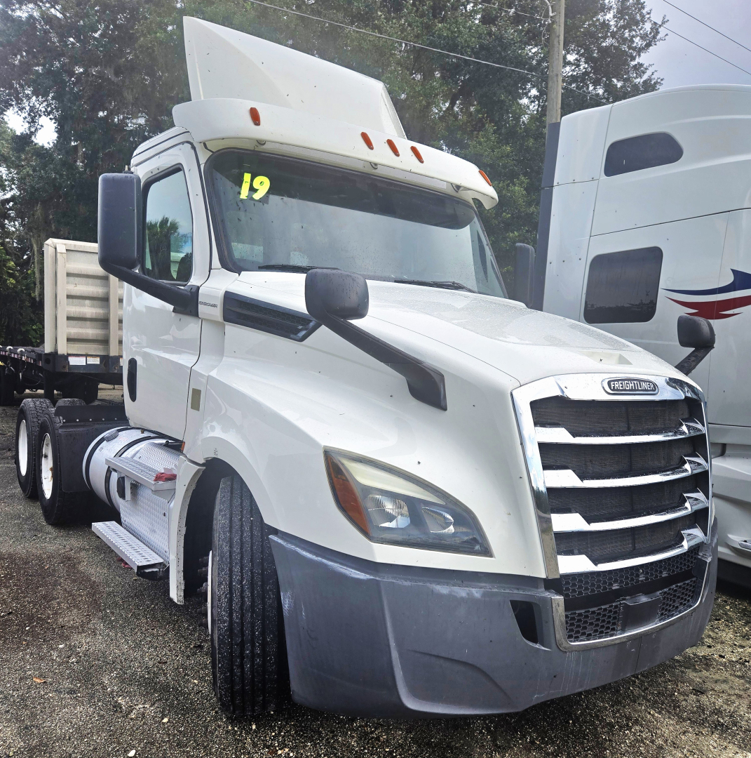 Front view of a white 2019 Freightliner Cascadia day cab tandem, cab number '19' on windshield, chrome grille, large side mirrors, gray bumper, sleeperless cab.