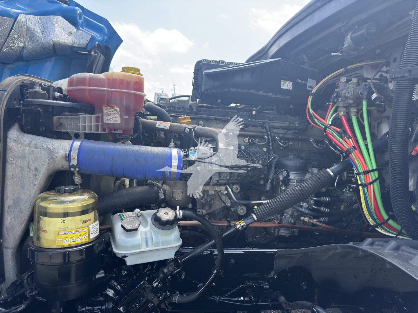 Truck engine bay of a Freightliner Cascadia 126 showing hoses, wires, coolant reservoir, power steering reservoir, and various fluid reservoirs.