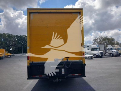 Box truck rear with yellow tailgate and black bumper, white seagull-like graphic on tailgate, in a truck lot.
