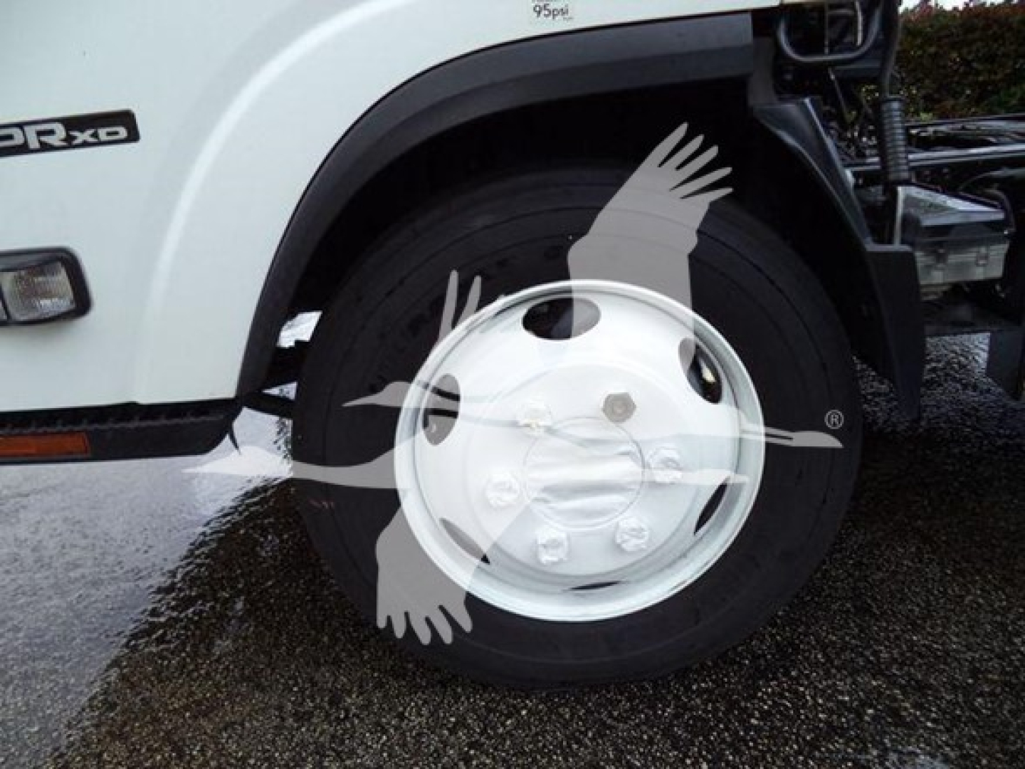 Isuzu NPR XD front wheel area showing badge 'NPR XD' on fender and wheel hub with cover; partial truck body