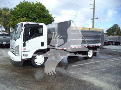 Isuzu NPR-XD dump truck in a dealership lot showing a white cab and gray dump body.
