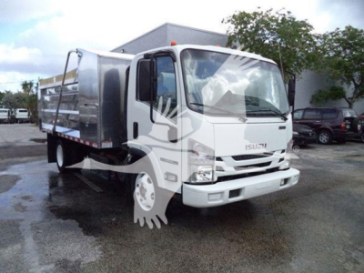 Isuzu NPR XD dump truck showing front and driver side with metallic dump body.